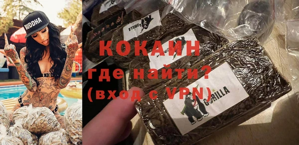спайс Алзамай