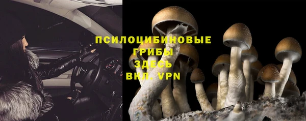 дмт Алексеевка