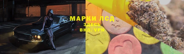 спайс Алзамай