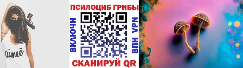 kraken как войти  продажа наркотиков  Гусь-Хрустальный  Галлюциногенные грибы прущие грибы 